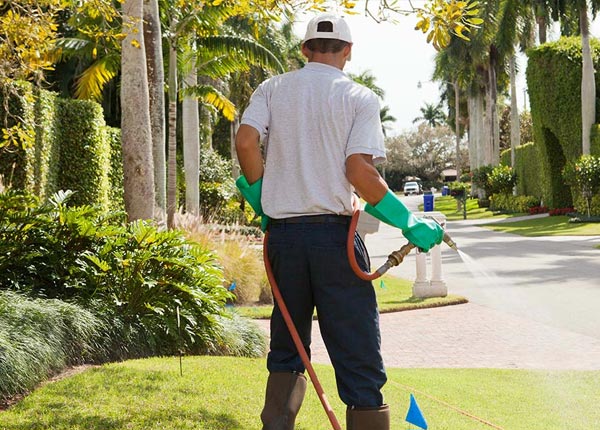 About Post OR Pest Control Pros